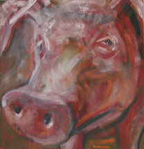 Schweinekopf, gemalt mit Ölfarben